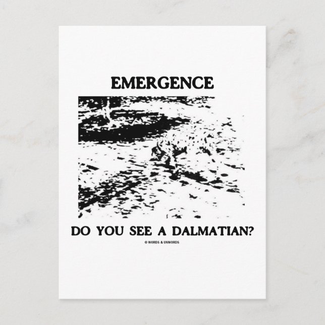 Emergence Do You See A Dalmatian? Postcard (Front)