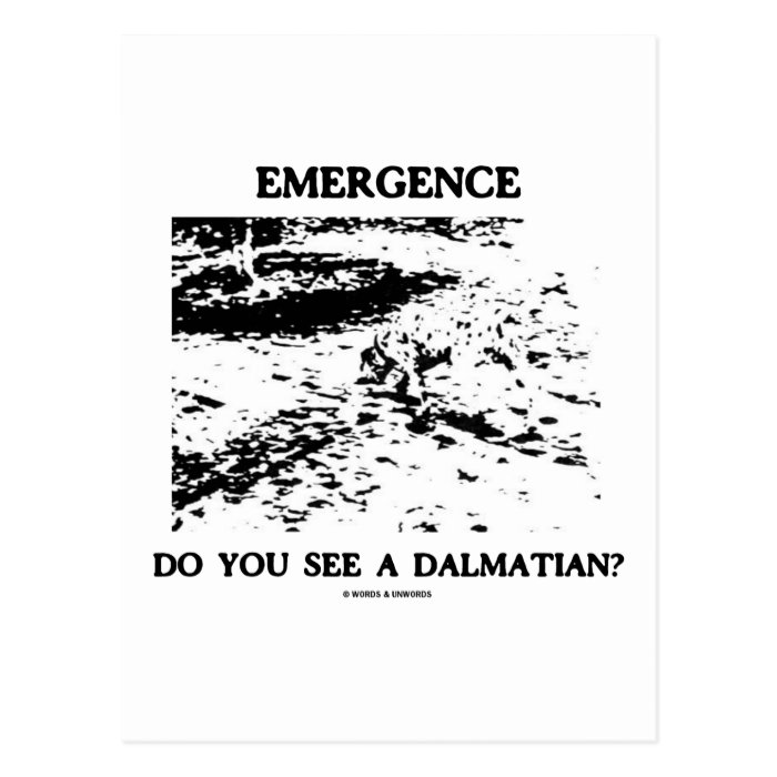 Emergence Do You See A Dalmatian? Postcards