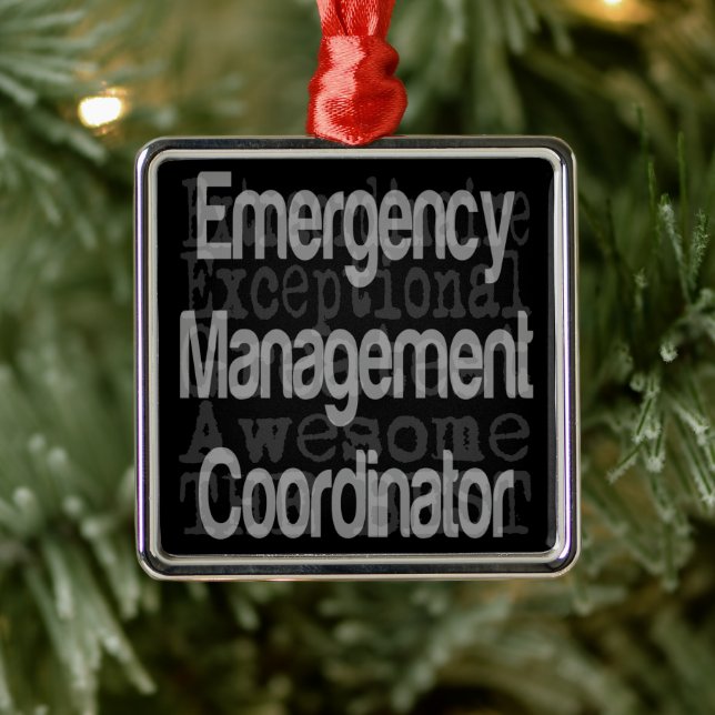 Emergency Management Coordinator Extraordinaire Metal Ornament (Tree)
