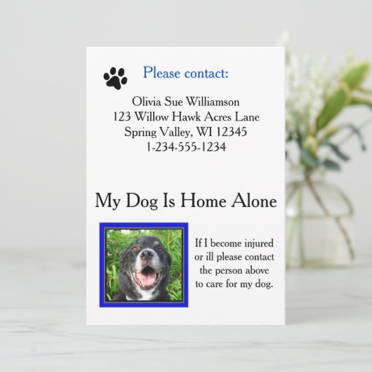 Emergency Pet (Dog) Care Wallet Card (Standing Front)