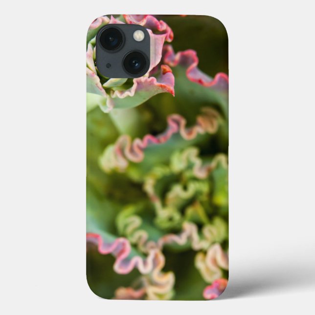 Emerging bud of an Echeveria Plant Case-Mate iPhone Case (Back)