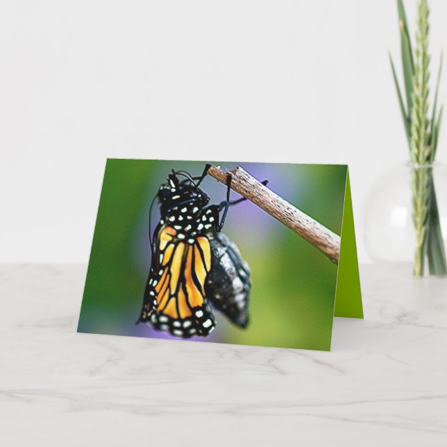 Emerging Butterfly Card (Front)