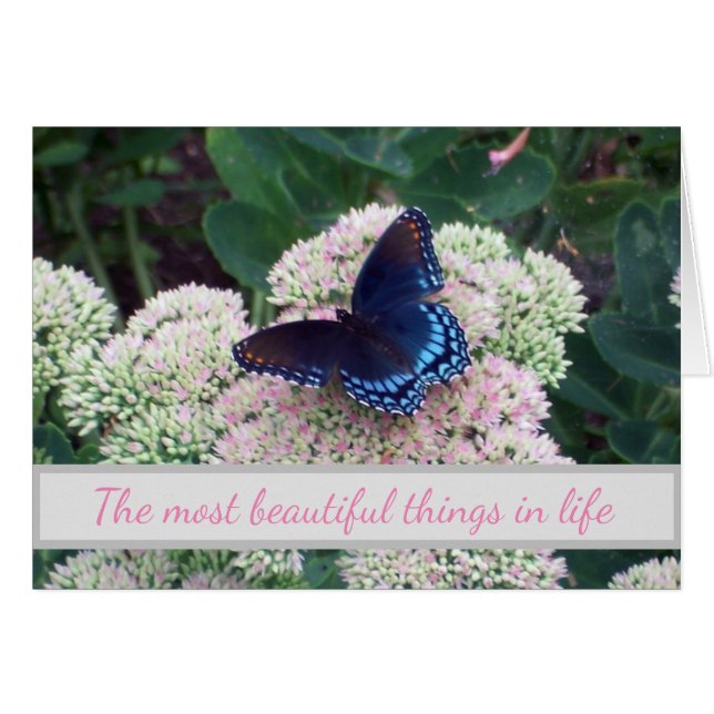 Emerging  Butterfly Challenging Places Cards (Front Horizontal)