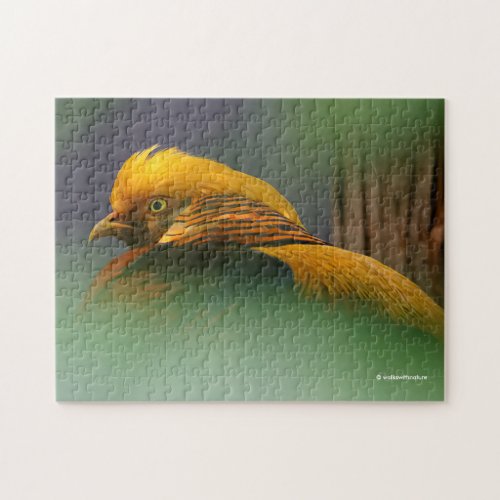 Emerging From the Green Golden Pheasant Jigsaw Puzzle