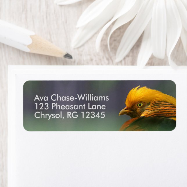 Emerging from the Green: Golden Pheasant Label (Insitu)