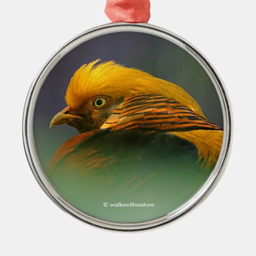 Emerging from the Green Golden Pheasant Metal Ornament