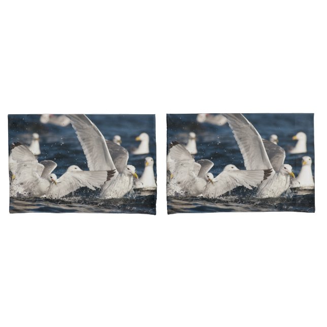 Emerging Gulls Pillow Case (Front-Set)