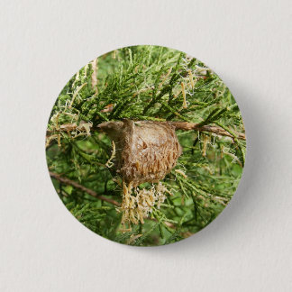 Emerging Mantis ~ button