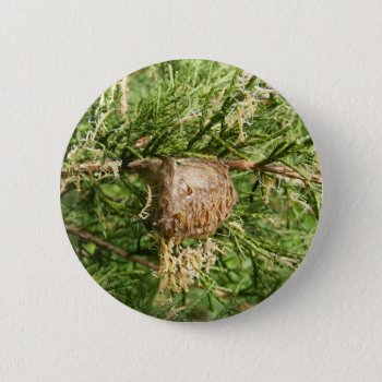 Emerging Mantis ~ Button by Andy2302 at Zazzle