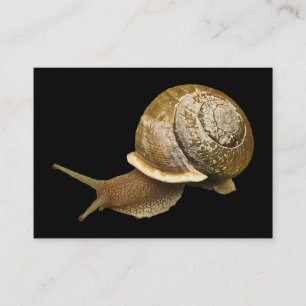 Emerging Snail ATC Business Card