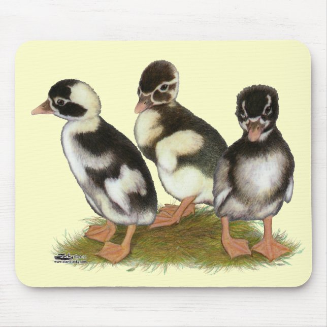 Emery Penciled Runner Ducklings Mouse Pad (Front)