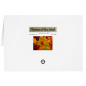 Emery's Porch II (Back Horizontal)