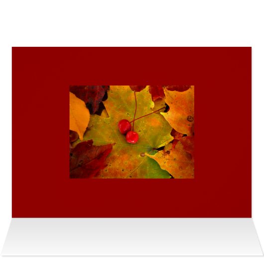 Emery's Porch II (Inside Horizontal (Top))