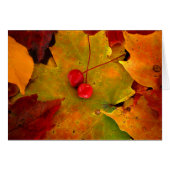 Emery's Porch II (Front Horizontal)