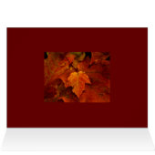 Emery's Porch III (Inside Horizontal (Top))