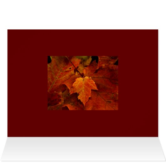 Emery's Porch III (Inside Horizontal (Top))