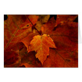 Emery's Porch III (Front Horizontal)