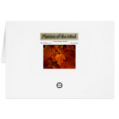 Emery's Porch III Cards (Back Horizontal)