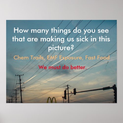 EMF exposure Chem Trails Processed Food Poster