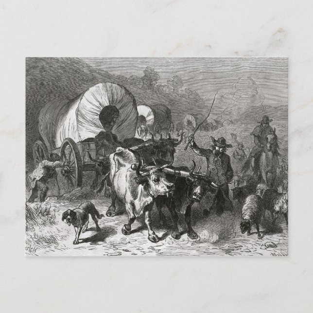 Emigration to the Western Country Postcard (Front)