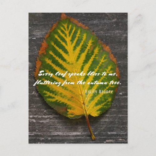 Emily Bronte Quote Autumn Leaf  Postcard
