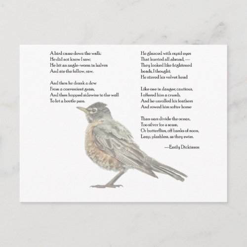 Emily Dickinson In the Garden Poem Postcard