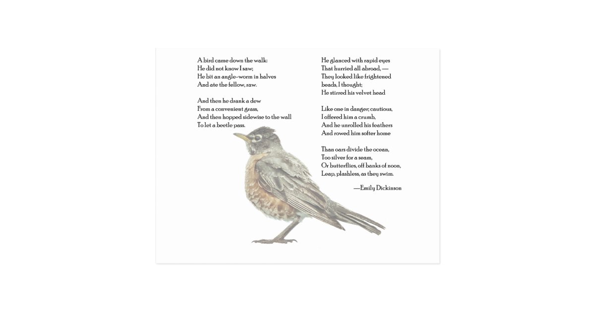 Emily Dickinson Quot In The Garden Quot Poem Postcard Zazzle Com