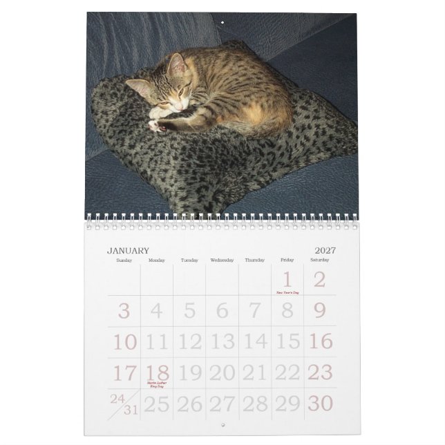 Emma Calendar (Jan 2027)