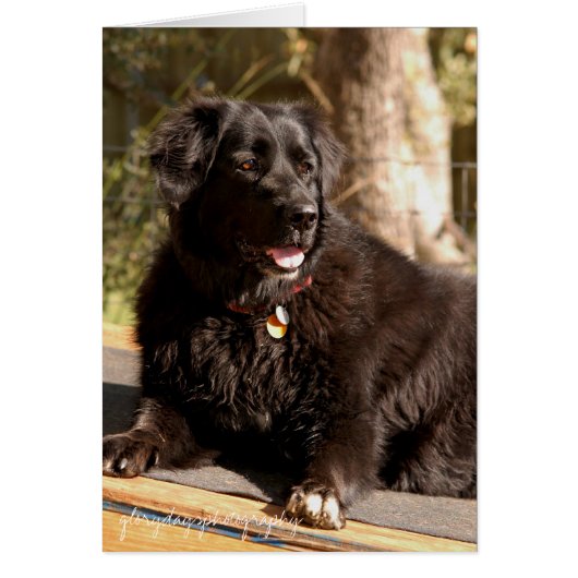 Emma, glorydaysphotography (Front)