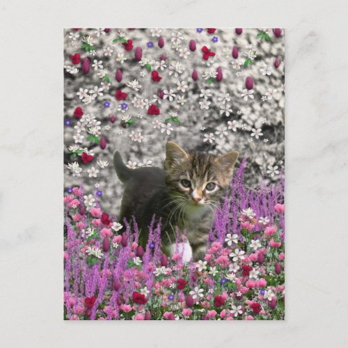 Emma in Flowers I  Little Gray Kitty Cat Postcard