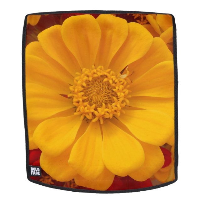 Emmeline Backpack (Removable Face)