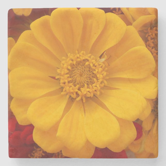 Emmeline Stone Coaster (Front)