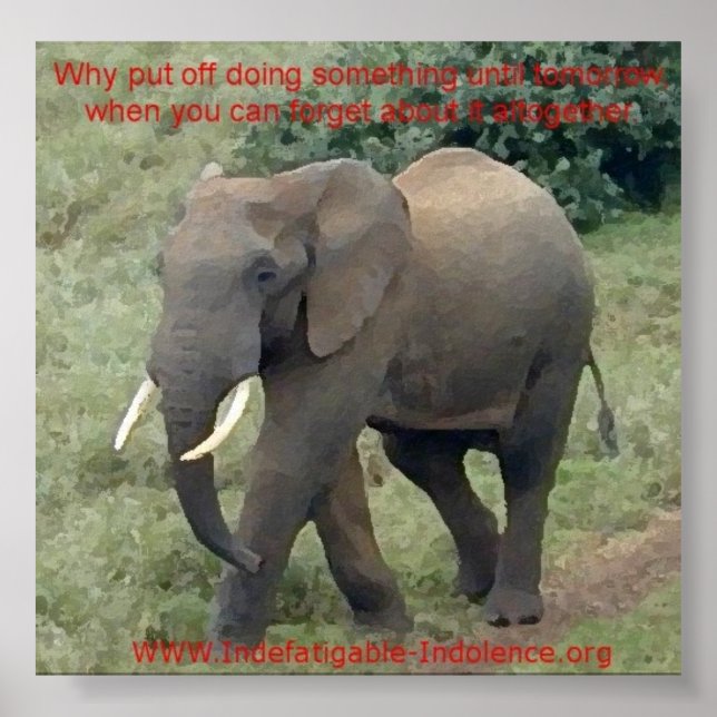 Emmet The Elephant On Procrastination Poster (Front)