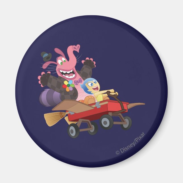 Emotional Roller Coaster Magnet (Front)