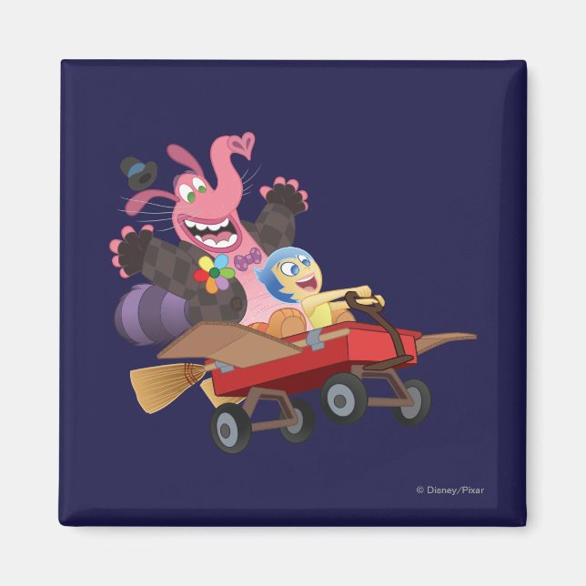 Emotional Roller Coaster Magnet (Front)