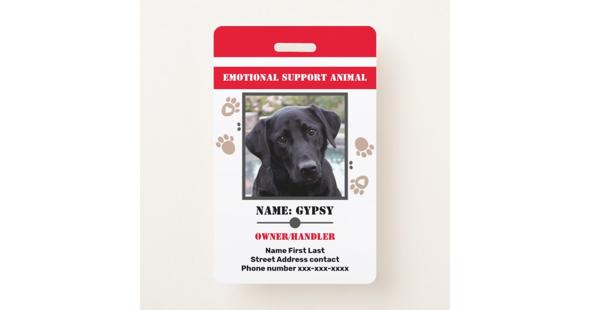 how much does an emotional support dog cost