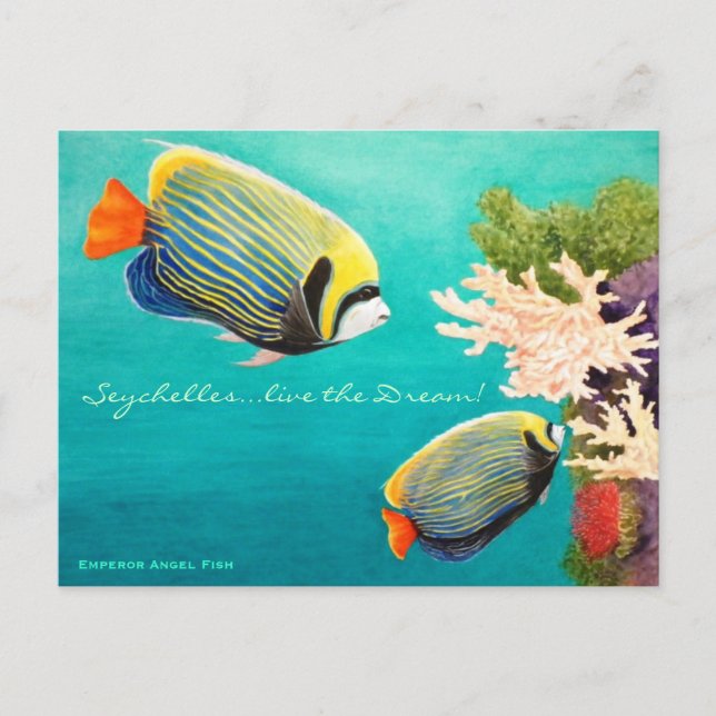 Emperor Angel Postcard (Front)