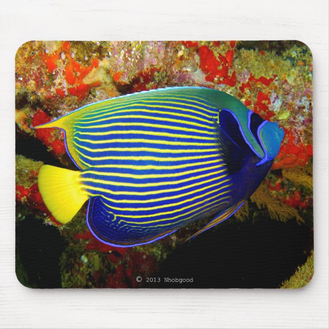 “Emperor Angelfish”のマウスパッド,No.01 Mouse Pad (Front)