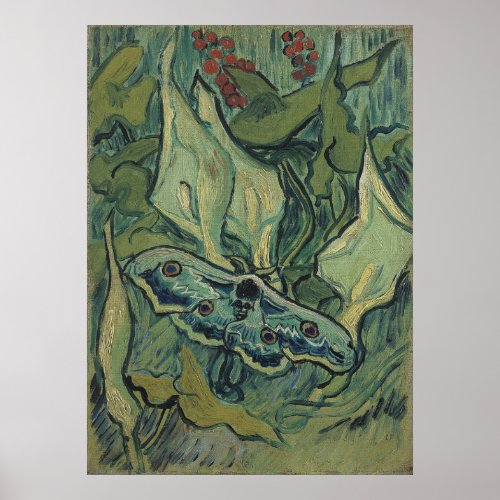 Emperor Moth by Vincent Van Gogh Poster