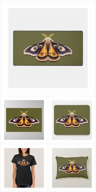 Emperor moth Saturnia Pavonia Insect Art