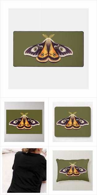 Emperor moth Saturnia Pavonia Insect Art