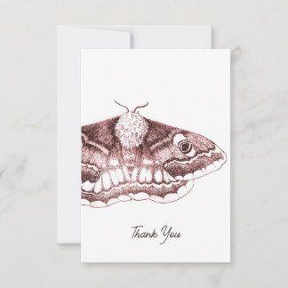 Emperor Moth Thank You Card