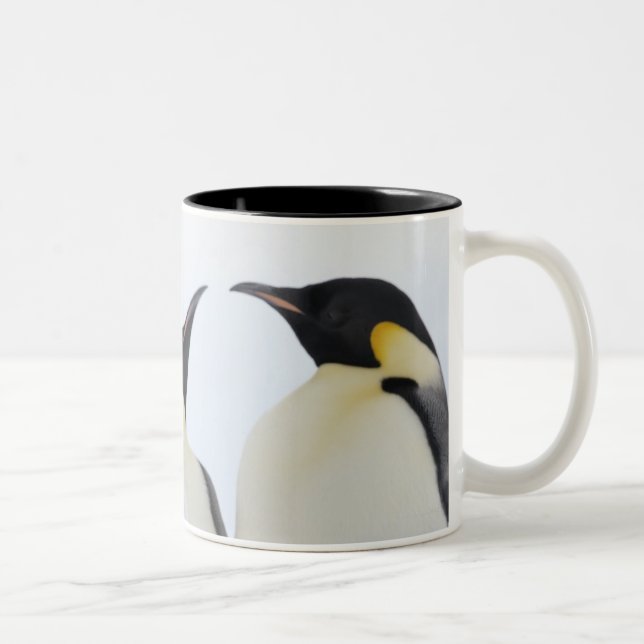 Emperor Penguin (Aptenodytes forsteri) Two-Tone Coffee Mug (Right)