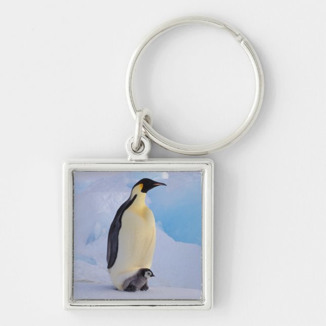 Emperor Penguin | Aptenodytes Keychain (Front)