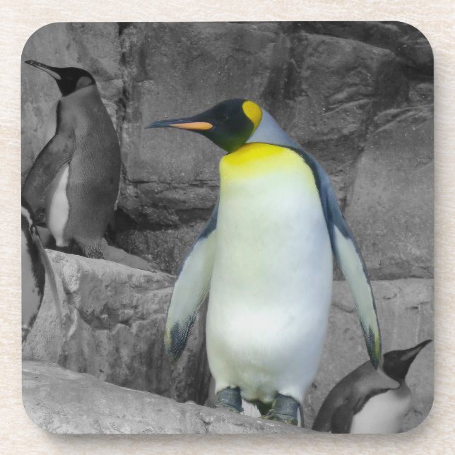Emperor Penguin Beverage Coaster (Front)