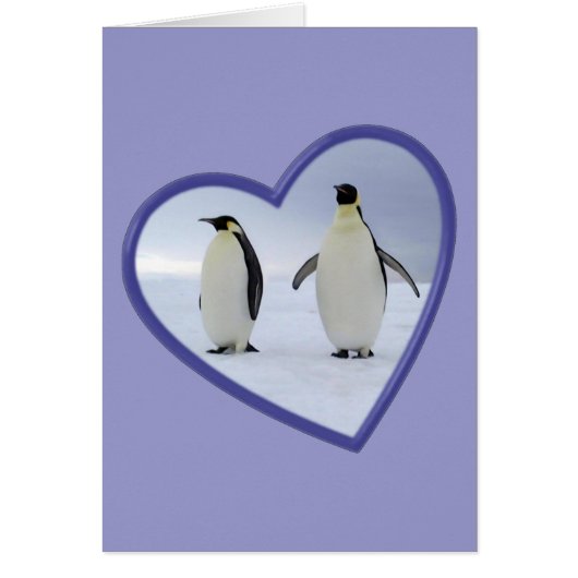 Emperor Penguin Cards (Front)