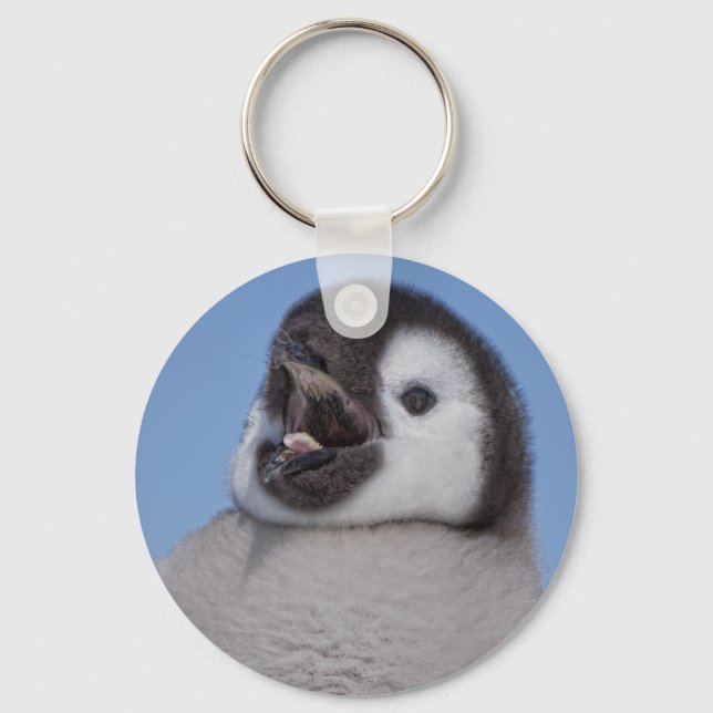 Emperor Penguin Chick Keychain (Front)