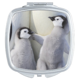 Emperor Penguin Chick Makeup Mirror