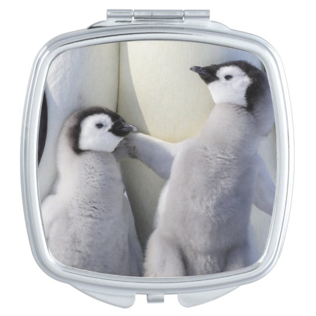 Emperor Penguin Chick Makeup Mirror (Front)