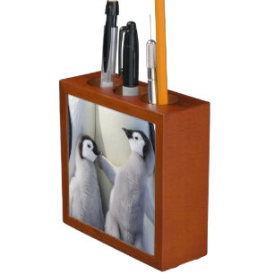 Emperor Penguin Chick Pencil Holder
